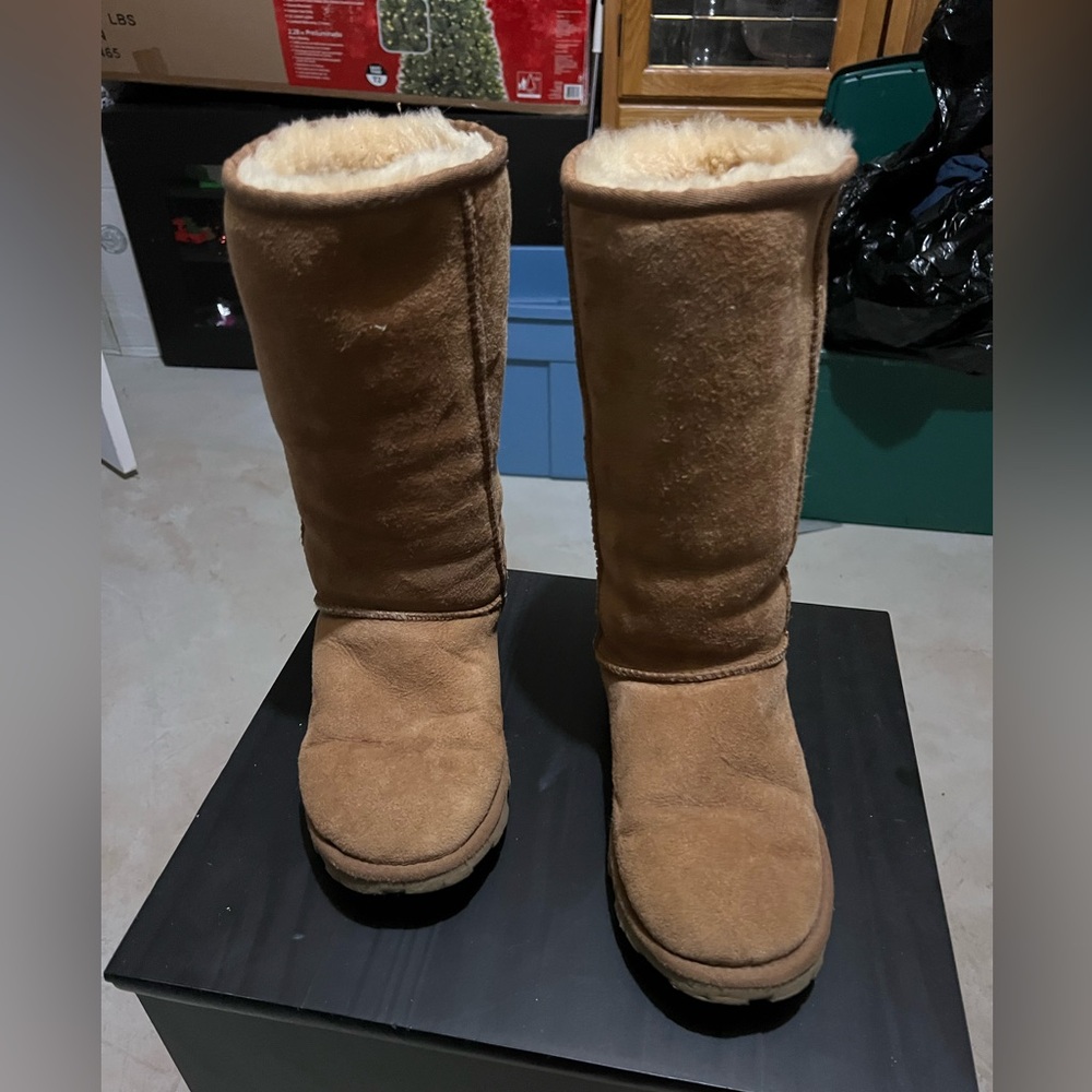 Ugg boot